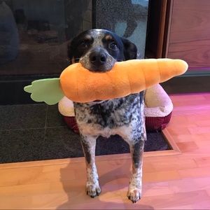 Meet your Posher, Connie